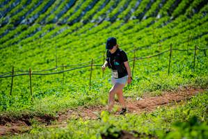 BIB: 
                            <button type="button" onclick="openModal(19162898)" class="btn btn-primary btn-sm float-right btn-popup" data-toggle="modal" data-target=".modal-high-quality">
                        <i class="fas fa-shopping-cart"></i> Add to Cart
                    </button>
                                            <button type="button" onclick="isThisMe(19162898, true)" class="btn btn-success btn-sm float-right btn-popup btn-isme hidden" data-toggle="tooltip" data-placement="bottom" title="นี่คือรูปของคุณใช่ไหม คลิกที่นี่เพื่อเอาเข้าอัลบั้ม">
                        <i class="fas fa-plus"></i> Add to album
                    </button>
                    <button type="button" onclick="isThisMe(19162898, false)" class="btn btn-warning btn-sm float-right btn-popup btn-isnotme hidden">
                        <i class="fas fa-ban"></i> Remove from album
                    </button>